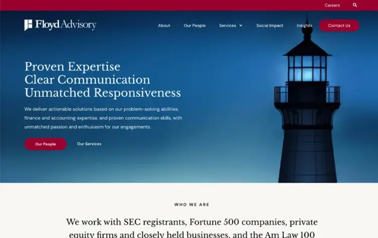 Financial consulting firm website homepage design