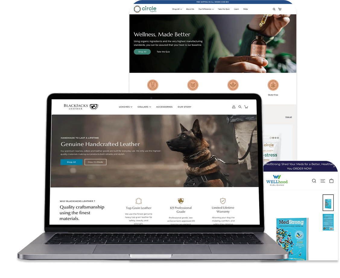 Swoon Projects for shopify websites