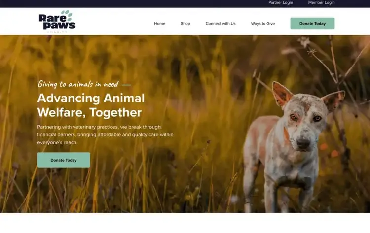 Animal welfare non-profit website homepage design